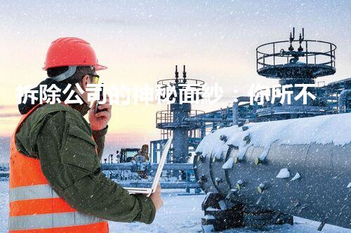 拆除公司的神秘面紗：你所不知道的行業(yè)內(nèi)幕！